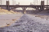 Bridges of the Los Angeles River