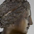 Venus de' Medici / Pietro Cipriani