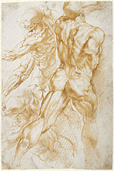 Anatomical Studies / Rubens