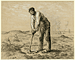 Man with Hoe / Millet