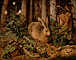 Hare in Forest / Hoffmann