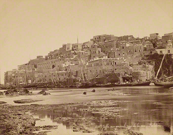 Jaffa from the Sea / Bonfils