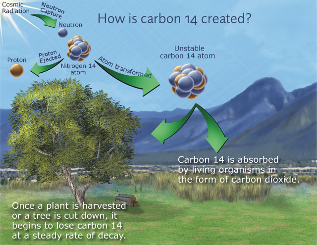 How is carbon 14 created?