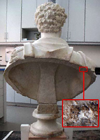 Back view of the Commodus showing area of carbonate crust on the rim