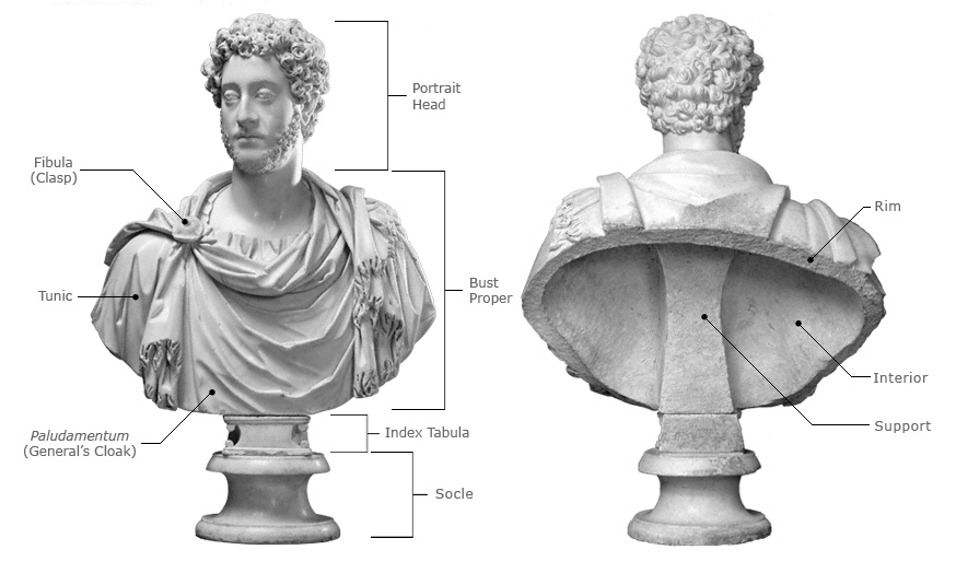 Viewer's Guide to the Roman Bust