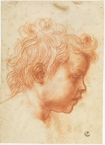 Head of an Infant in Profile to the Right