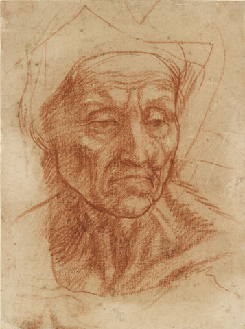Study of the Head of an Old Woman