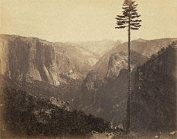 Yosemite Valley, 'Best General View,' No. 2 / Watkins