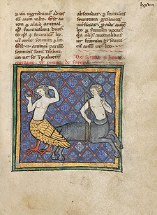 A Siren and a Centaur / Unknown Flemish artist