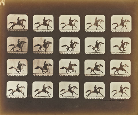 Galloping Horse with Rider in Eadweard J. Muybridge, The Attitudes of Animals in Motion