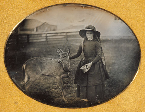Portrait of a Girl with a Deer