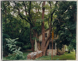 Treehouse, Freese Road, Varna, New York / Garen