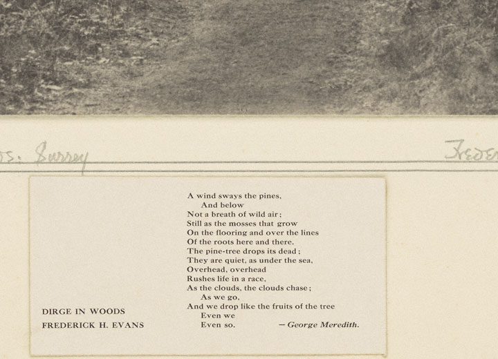 Poem by George Meredith attached below the photograph In Redland Woods, Surrey
