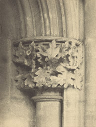 Southwell Cathedral: Chapter House Capital /  F. Evans