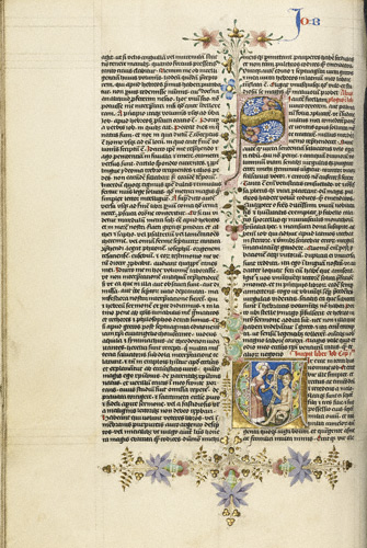 Initial V: Job Derived by His Wife / Lochner