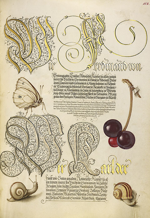 Butterfly, Sweet Cherry, and Land Snails, Model Book of Calligraphy, Vienna, Joris Hoefnagel, 1561-62 (text) and about 1591-96 (illumination) 