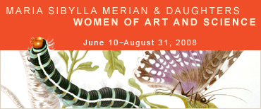 Maria Sibylla Merian &amp Daughters: Women of Art and Science