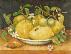 Still Life with Bowl of Citrons / Garzoni
