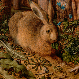 A Hare in the Forest / Hans Hoffmann