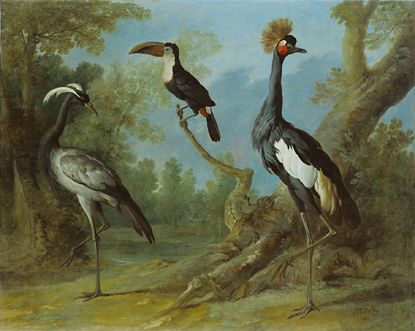 Crane, Toucan, Crane / Oudry