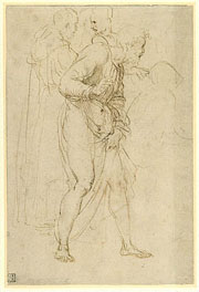 Raphael. Studies for the Disputa.