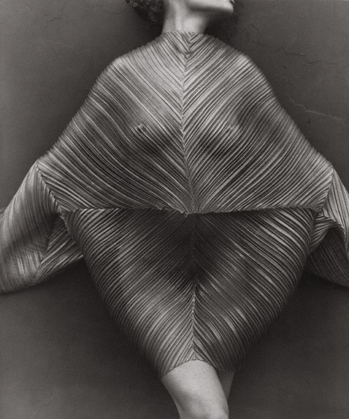 Wrapped Torso, Los Angeles / Ritts