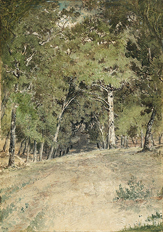 Climbing Path, Forest of Fontainebleau