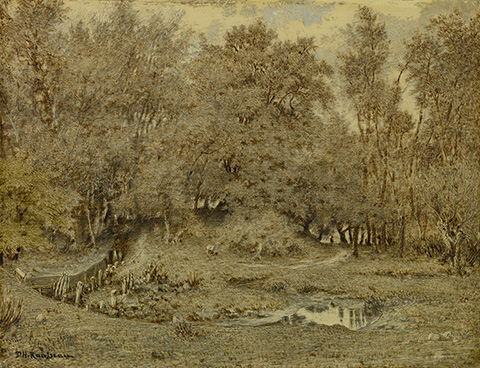 Brook in the Forest of Fontainebleau