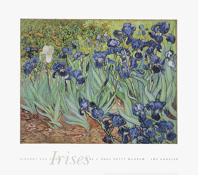 Irises, Poster