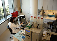 conservation image