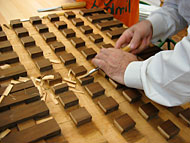 Conservation image