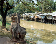 Conservation image