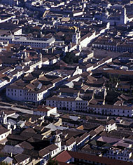 Conservation image