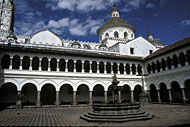 Conservation image