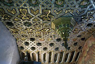 Conservation image