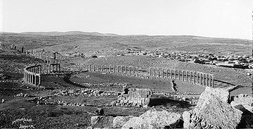 conservation image