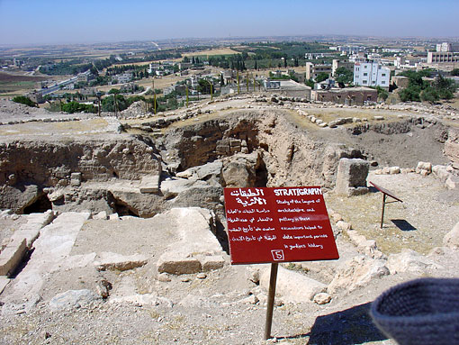 conservation image