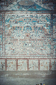 Conservation image