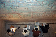 Conservation image
