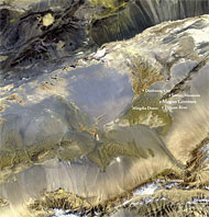 Conservation image