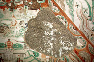 Conservation image