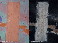 Conservation image