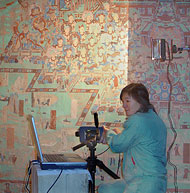 Conservation image