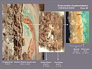 Conservation image