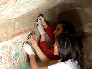 Conservation image