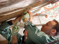 Conservation image
