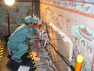 Conservation image