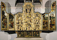 conservation image