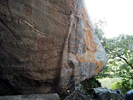 conservation image