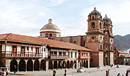 conservation image